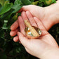 Mini Meditation Bowl Box: 2In Crown Chakra