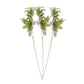 Pier 1 Set Of 12 Lambs Ear Stems 27.5" - Pier 1